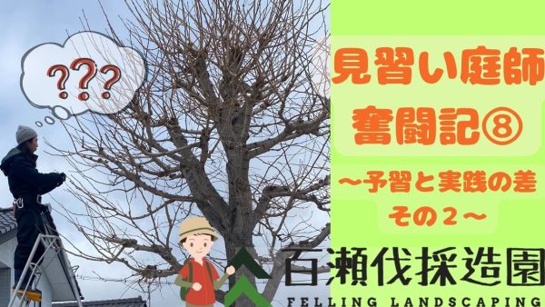 見習い庭師奮闘記⑧〜予習と実践の差その２〜