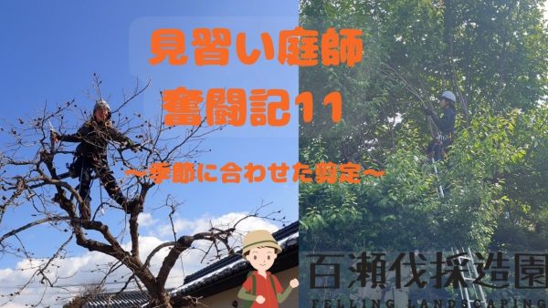 見習い庭師奮闘記11〜季節に合わせた剪定