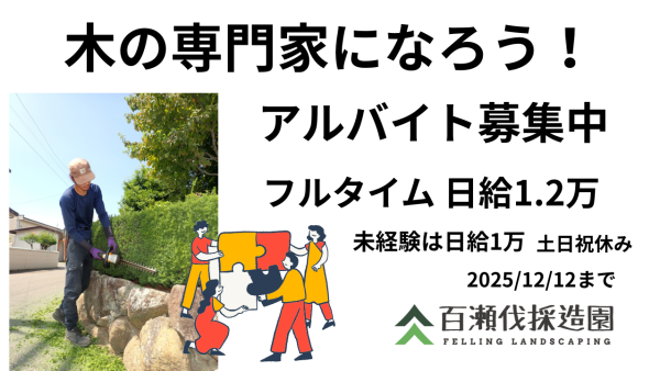 木の専門家になろう！