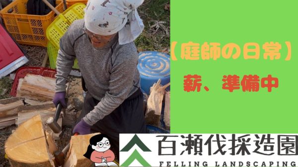 【庭師の日常】薪準備中