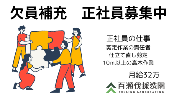 欠員補充　正社員募集中