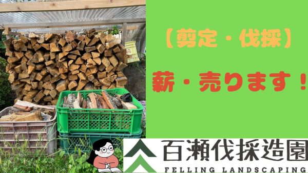 薪　1カゴ　2600円（税込）　よりお売りします