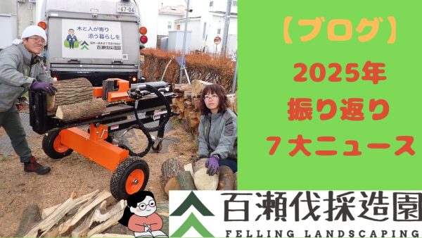2025年振り返り